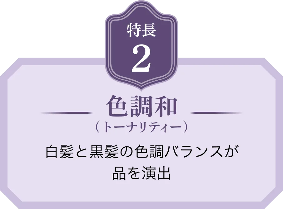 特長2 色調和（トーナリティー） 白髪と黒髪の色調バランスが品を演出
