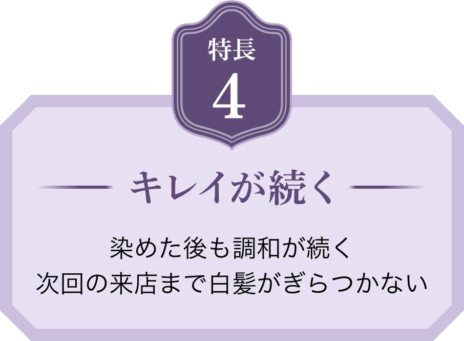 特長4 キレイが続く 染めた後も調和が続く次回の来店まで白髪がぎらつかない